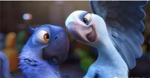 新游预告_最新安卓手机网络\/单机游戏行业新闻