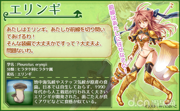 菇娘收藏
