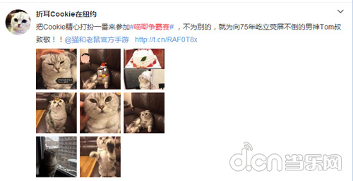 猫和老鼠官方手游