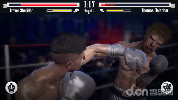 real boxing