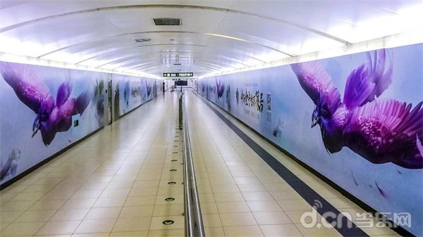 北京地铁站惊现玄鸟涂鸦 《轩辕传奇手游》带